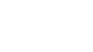Coal Media Logo